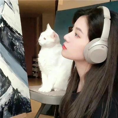 终结的感觉